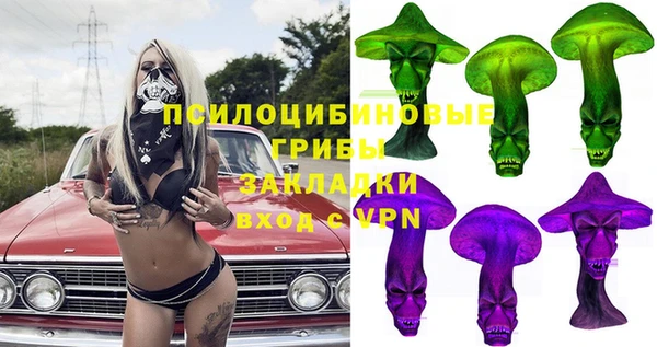 гидра Абаза