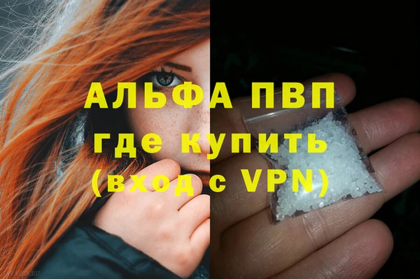 гидра Абаза