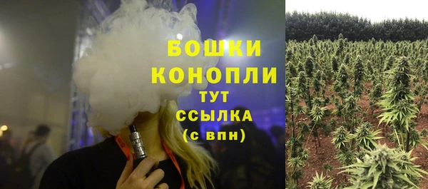 метадон Снежинск