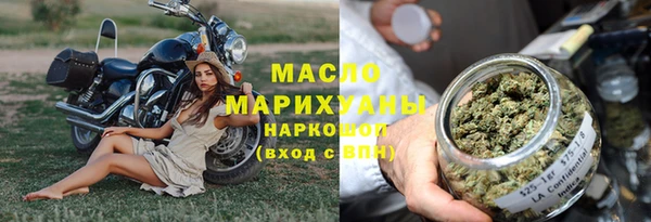 амф Снежногорск