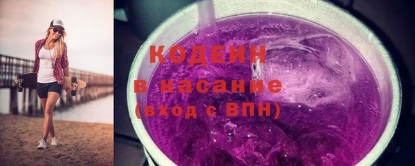 амф Снежногорск