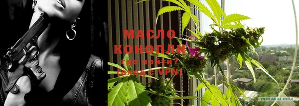 амф Снежногорск