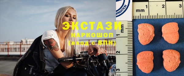 амф Снежногорск