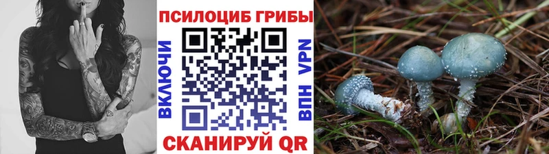 Галлюциногенные грибы Psilocybine cubensis  Гагарин 